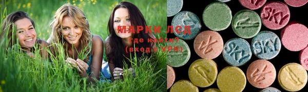 винт Абаза