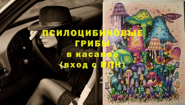 винт Абаза