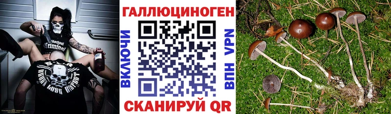 MEGA как зайти  Починок  Псилоцибиновые грибы ЛСД 